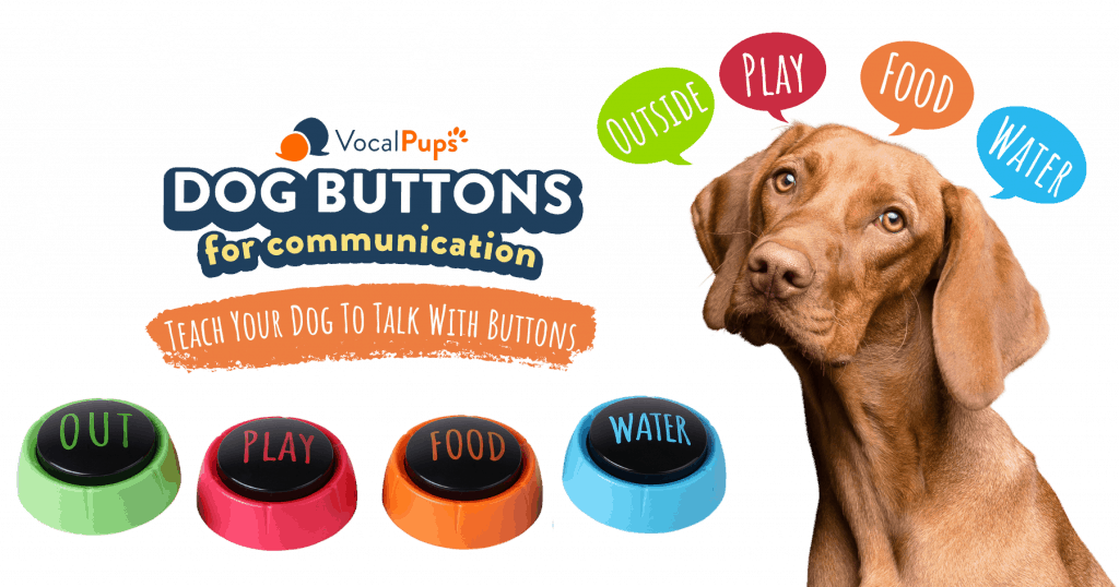 Dog Buttons For Communication Home